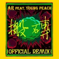 精氣神制作 - 搬砖 remix