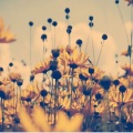 delilah、Chase And Status - Time (Blue Apollo Remix)