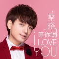蔡晓 - 等你说I Love You