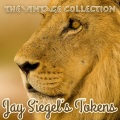 jay siegel's tokens - Don't Worry Baby