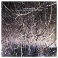 Harold Budd、Eraldo Bernocchi、Robin Guthrie - Don't Go Where I Can't Find You