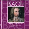 Nikolaus Harnoncourt、concentus musicus wien、kurt equiluz - Cantata No.60 O Ewigkeit, du Donnerwort BWV60 : II Recitative (Counter-Tenor, Teno)