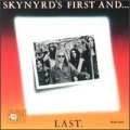 Lynyrd Skynyrd - Down South Jukin'