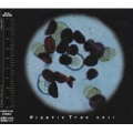 Plastic Tree - cell