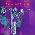 Liquid Soul - Worlds' on a Leash