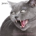 James - Got the Shakes