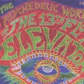 13th Floor Elevators - Splash 1