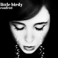 Little Birdy - Stay Wild