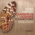 pierre amoyal、Camerata Lausanne - Serenade in C Major for Strings, Op. 48: I. Pezzo in forma di sonatina: Andante non troppo (Allegro moderato)