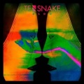 Tensnake、Fiora - See Right Through