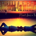 Flaer Smin、Boyko、Oleg Sobchuk - Can You Feel Love Tonight (Flaer Smin Remix)