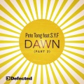 Pete Tong - Dawn (Hot Since 82 Dub)