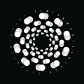 Simian Mobile Disco - Belvedere