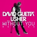 David Guetta、Usher - Without You (Extended)