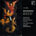 Philippe Herreweghe、Collegium Vocale - Johann Sebastian Bach: Cantata No. 36, 