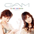 GAM - Thanks!