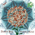 Sample Bugs - Active Parametric