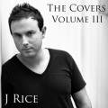 J Rice - Fly