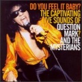 Question Mark、The Mysterians - Do You Feel It