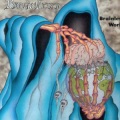 Brainless - Scientific Lie