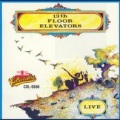 13th Floor Elevators - Before You Accuse Me