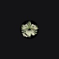 Endymion、Tommyknocker - Payback (Tommyknocker's Trashed Remix)