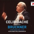 Sergiu Celibidache - Anton Bruckner: Symphony No. 4 in E-flat major (WAB 104 I. Bewegt, nicht zu schnell)