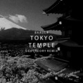 Geotheory、Baauer - Tokyo Temple (GEOTHEORY Remix)