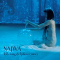 Najwa - Following Dolphins (Jean Dolphins Classic House)