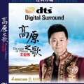 王宏伟 - 阿娜尔汗