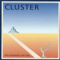 Cluster - Phoenix Arizona # 1