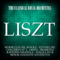 The Classical Royal Orchestra - Murmullos Del Bosque-Estudio Del Concierto Nº 1