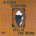 13th Floor Elevators - 60'' Radio Spotbull Of The Woods - Original