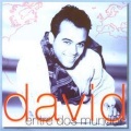 David - Ay Que Bonita!