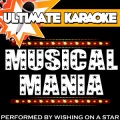 Wishing On A Star - Defying Gravity (Originally Performed By Kristin Chenoweth and Idina Menzel Karaoke Version)
