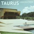 Taurus - Around You