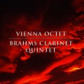 The Vienna Octet - Clarinet Quintet in B Minor, Op. 115: I. Allegro / II. Adagio
