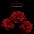 RHYMESTER - 人間交差点