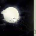 平纱落雁 - 不老的月亮