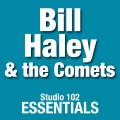 Bill Haley & The Comets、Bill Haley - Fractured