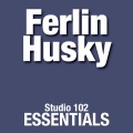 Ferlin Husky、The Hush Puppies - Big City