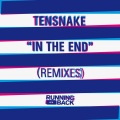 Tensnake - In The End (I Want You To Cry)(Lone Remix)