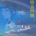 DJ董浩浩 - 情为何物