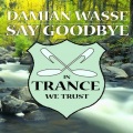 Damian Wasse - Say Goodbye (Pure Mix)