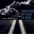Gordon Grdina、Paul Motian、gary peacock - Platform