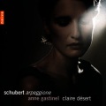 Anne Gastinel、Claire Désert - Sonata in A Minor D. 821: Allegro Moderato