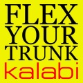 Kalabi - Gorillas on the Flutes
