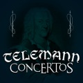 zagreb soloists - Concerto for Violin, Strings & Continuo in A Minor, TWV 51a2: II. Andante