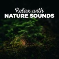 Ambiance Nature - One Stream