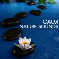 Ambiance Nature - Flowing Over